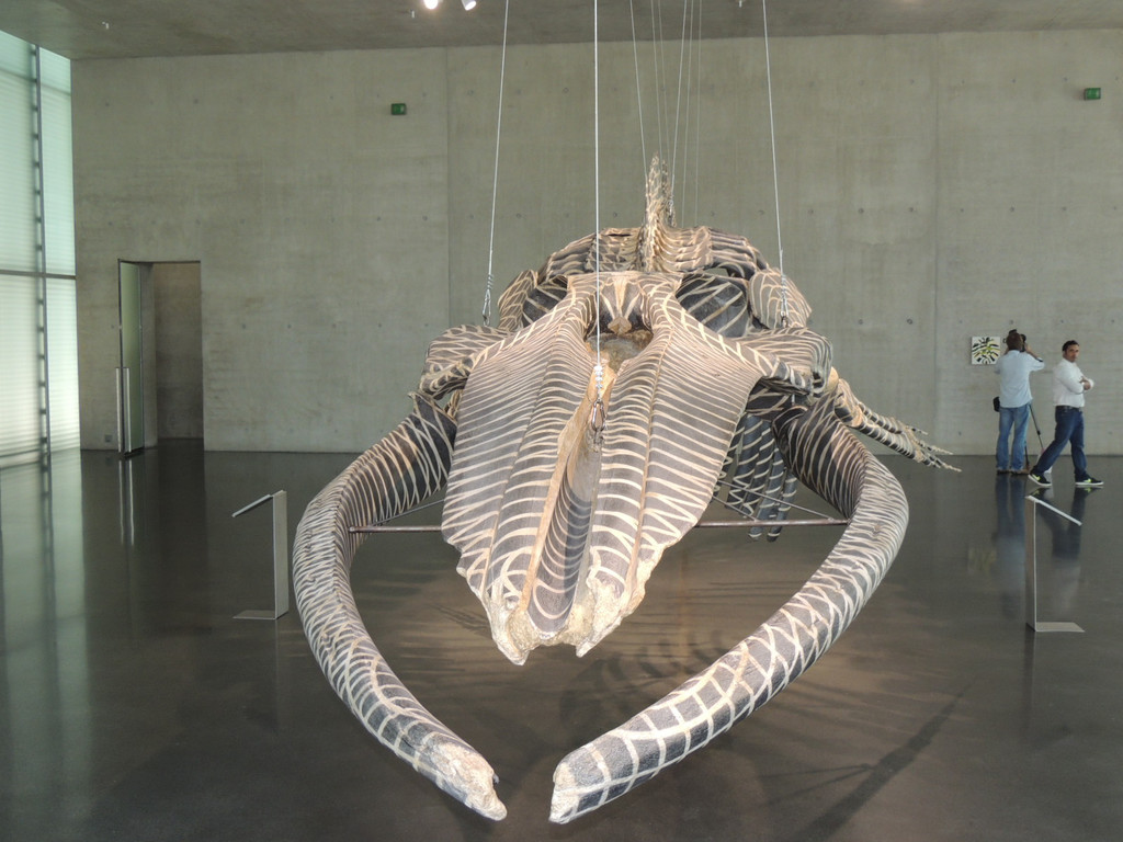 DSCN4445_JPG-1376739111