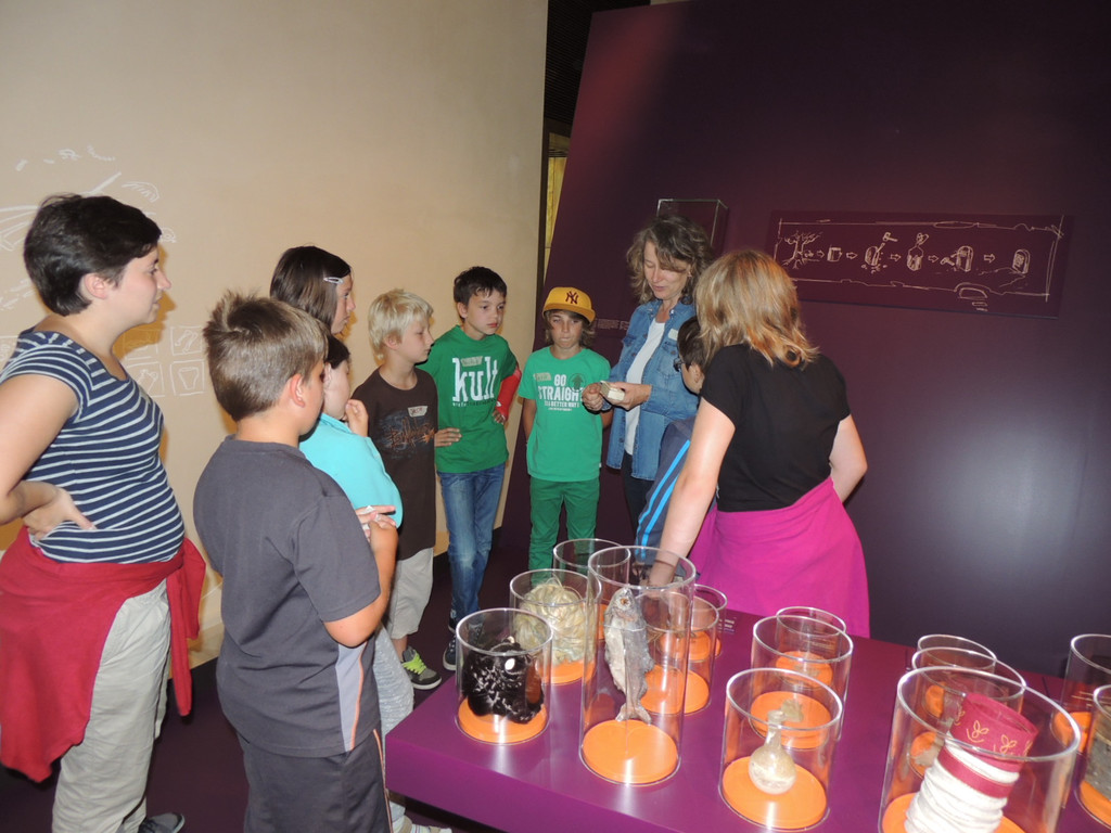 DSCN9456_JPG-1376739657