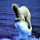 100_6818_jpg-1268496520