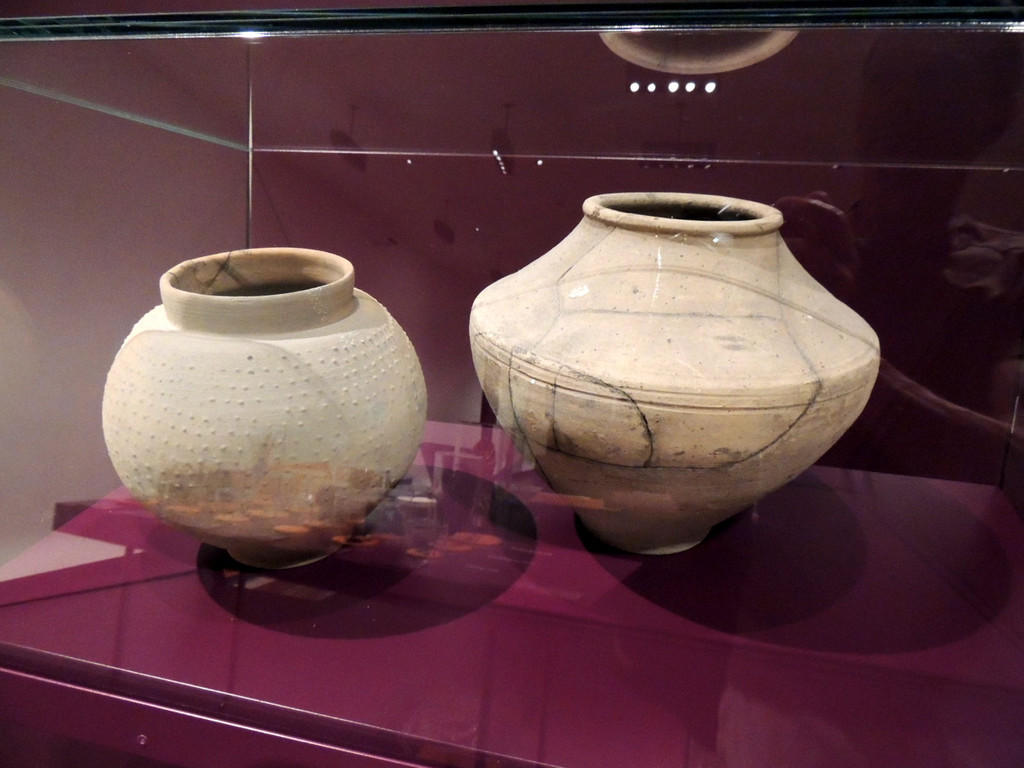 DSCN9515_JPG-1376739690