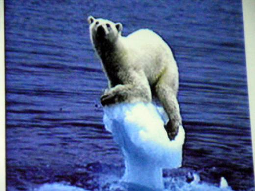 100_6818_jpg-1268496520
