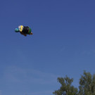 DSC09280.JPG