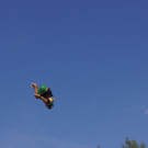 DSC09282.JPG