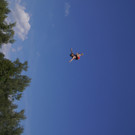 DSC09330.JPG