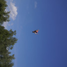 DSC09332.JPG
