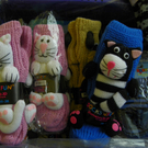 100_7337_jpg-1268500229