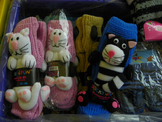 100_7337_jpg-1268500229