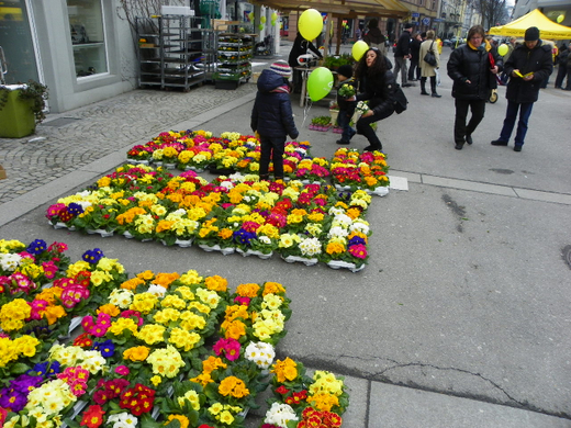 100_7368_jpg-1268500251