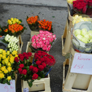 100_7375_jpg-1268500272