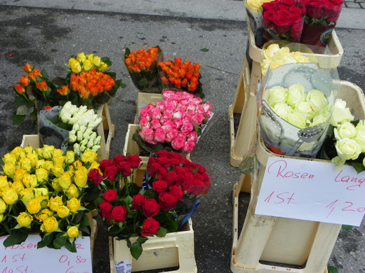 100_7375_jpg-1268500272