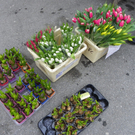 100_7372_jpg-1268500260