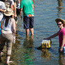camping traisen tag2 - frequency festival 2013 - florian wieser-3.jpg