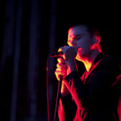 IMG_8642.jpg