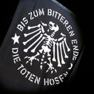 Frequency 2013: Die Toten Hosen
