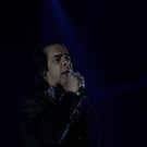 IMG_8897.JPG