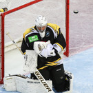 Vienna Capitals gegen Slovan Bratislava in der European Trophy