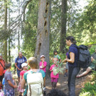 Walderlebnistag 17. August 2013