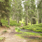 _MG_5008_jpg-1376808288