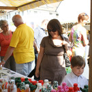 DSC02484_JPG-1376833898