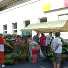 DSC02504_JPG-1376834344