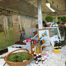 DSC02528_JPG-1376834592