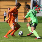 IMG_9343_jpg-1376861639