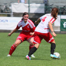 Stadelmann und Co. im Torrausch
