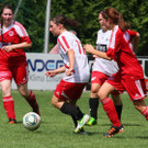 IMG_9086_jpg-1376863440