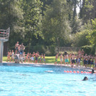 grilla_jpg 111_jpg-1376894579