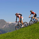 1263_2_Bike0005-2.jpg