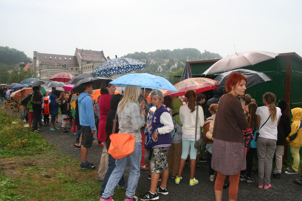 grilla_jpg 002_jpg-1376909753