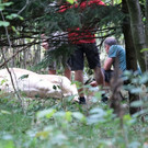 normal_19082013kuhjagdde01001aktivnews_16.JPG