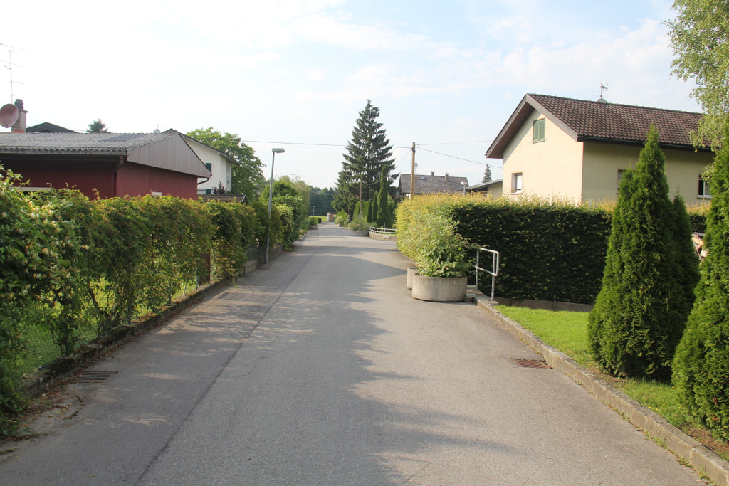 B__tzenweg_2_JPG-1376924889