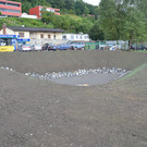 Versickerungsanlage Roethis