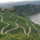 P8120043_jpg-1376941914