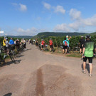 P8130045_jpg-1376941918