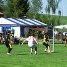 2013 Vereinsturnier _83__JPG-1376984122