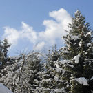 _DSC02290026_JPG-1268544713