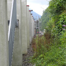 DSCN1267_JPG-1376992227