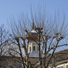 _DSC00730018_JPG-1268545847