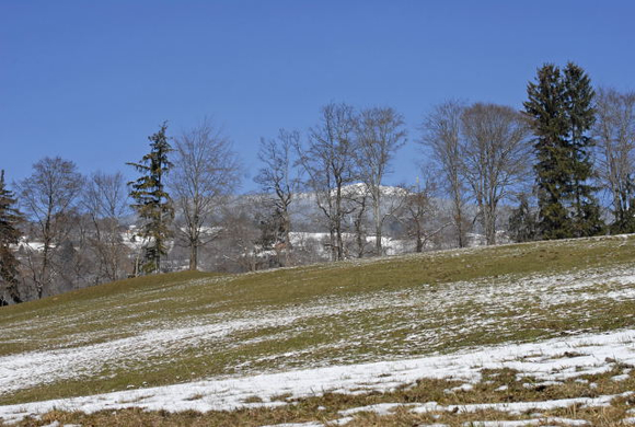 _DSC00780022_JPG-1268545937