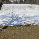 _DSC00810025_JPG-1268546011