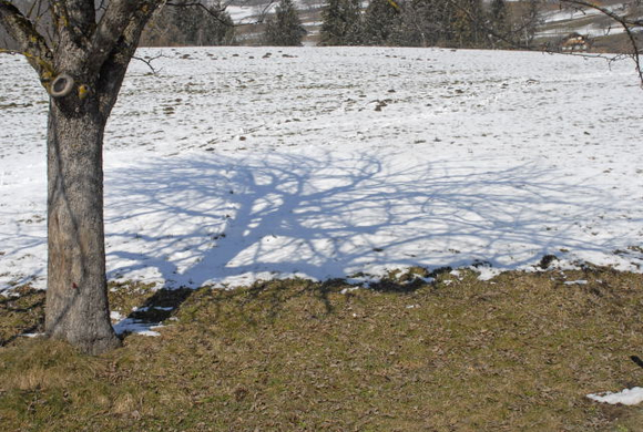_DSC00810025_JPG-1268546011