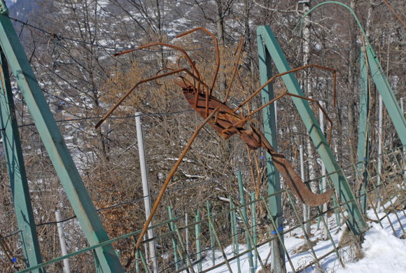 _DSC00850027_JPG-1268546068