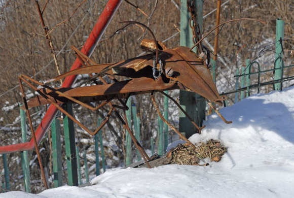 _DSC00910030_JPG-1268546149