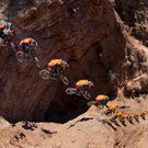 Brandon Semenuk.jpg