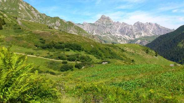 golm 1966_jpg-1377001559