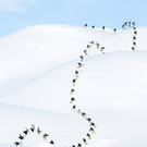 Sammy Carlson.jpg