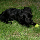 IMG_3290_JPG-1377153063