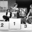 Lustenau_Dorffest_1986.jpg